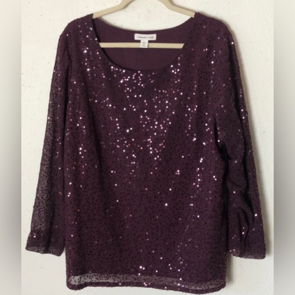 Coldwater Creek Burgundy Sparkly Long-Sleeve Top 2X - Picture 1 of 7